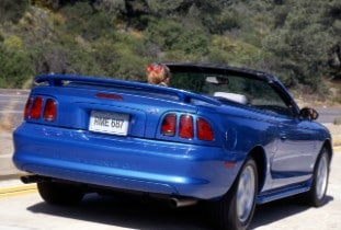 1998 Ford Mustang GT Convertible